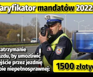 Taryfikator mandatów 2022 