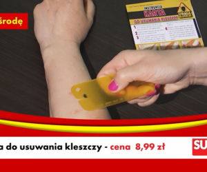 Kleszcze
