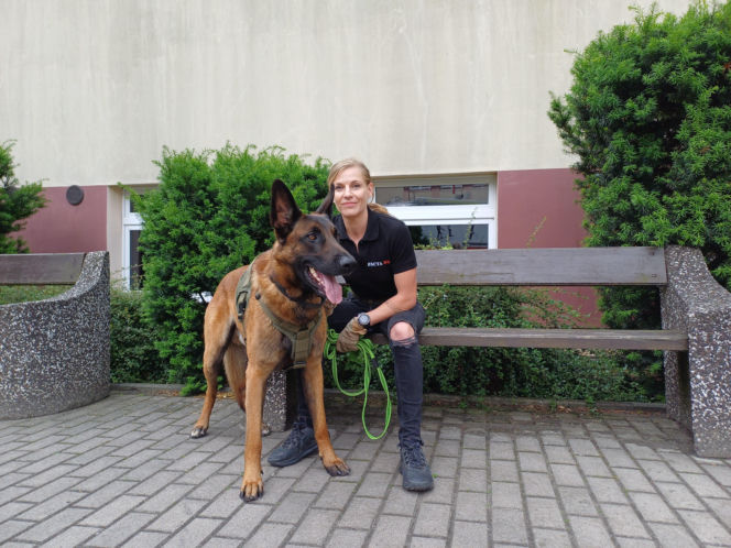 Psy służbowe, szkolenia i strefa pierwszej pomocy. Trwa drugi dzień CERBERUS K9 w Ostrowie