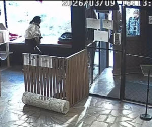 Próbowała wynieść kota z lokalu w Toruniu