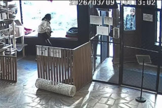 Próbowała wynieść kota z lokalu w Toruniu