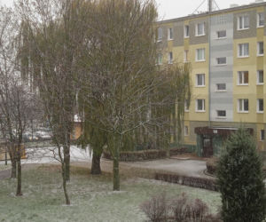 Atak zimy w Poznaniu! Spadł pierwszy śnieg. Czy to zaskoczyło drogowców?