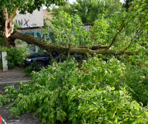 Szczecin: Zniszczenia po przejściu gwałtownej burzy