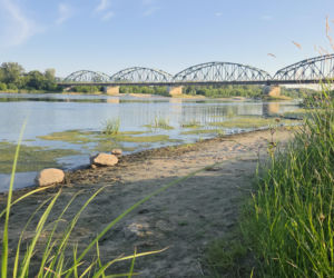 Bardzo niski stan Wisły w Fordonie w Bydgoszczy. Do rekordu brakuje kilkunastu centymetrów