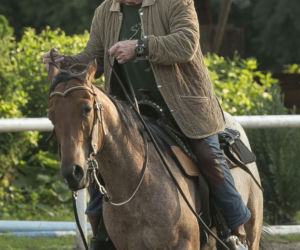 Daniel Olbrychski pachniał koniem i potem