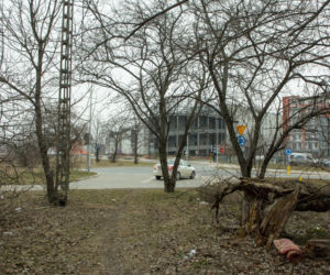 Przerażająca bójka nastolatek w Pruszkowie