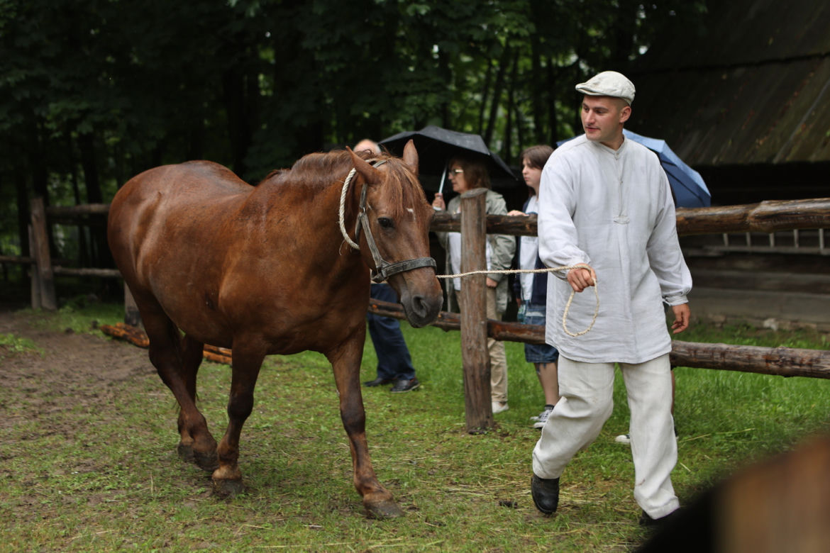 Jarmark koński w Muzeum Wsi Lubelskiej