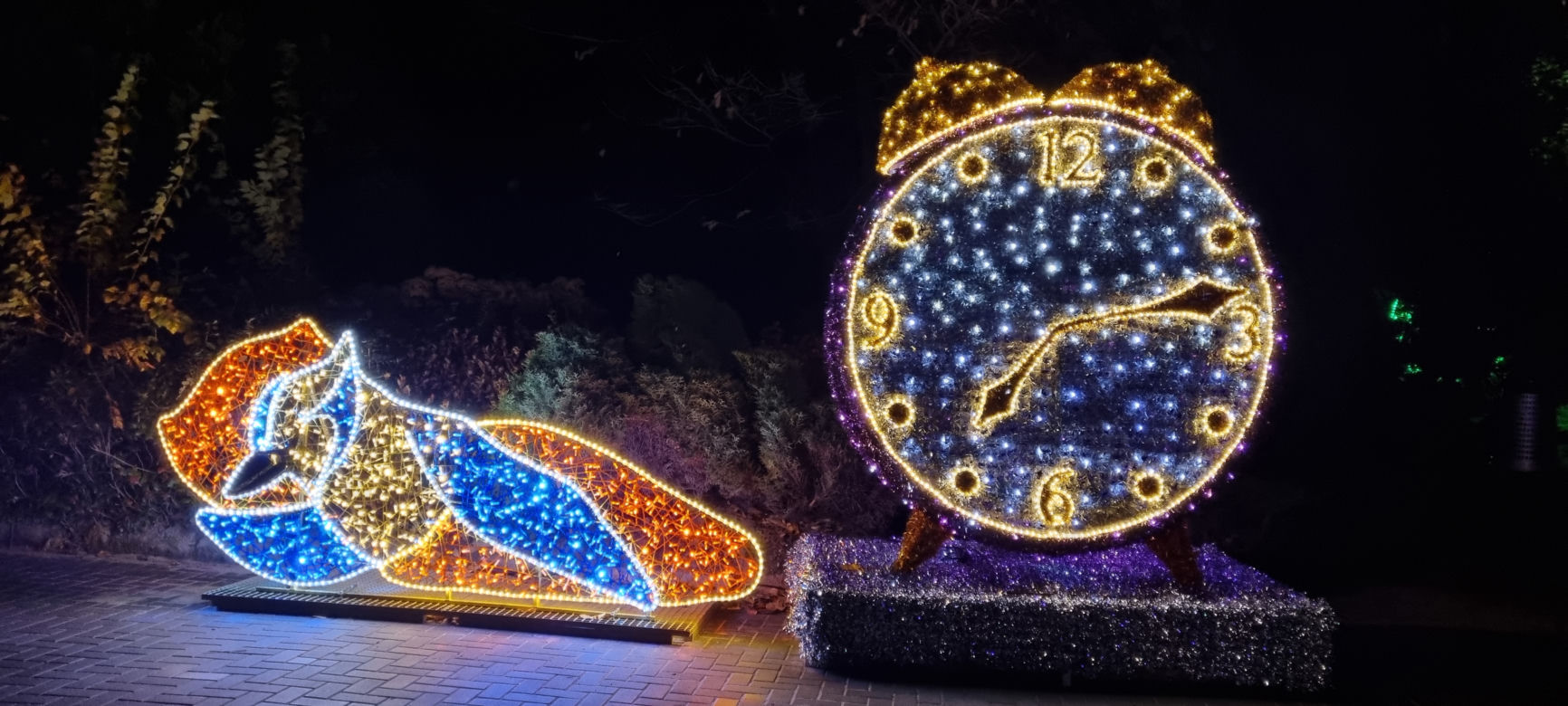Ogród Botaniczny po zmroku zamienia się w magiczny ogród [GALERIA]