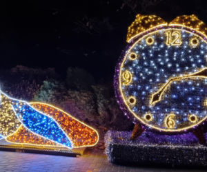 Ogród Botaniczny po zmroku zamienia się w magiczny ogród [GALERIA]