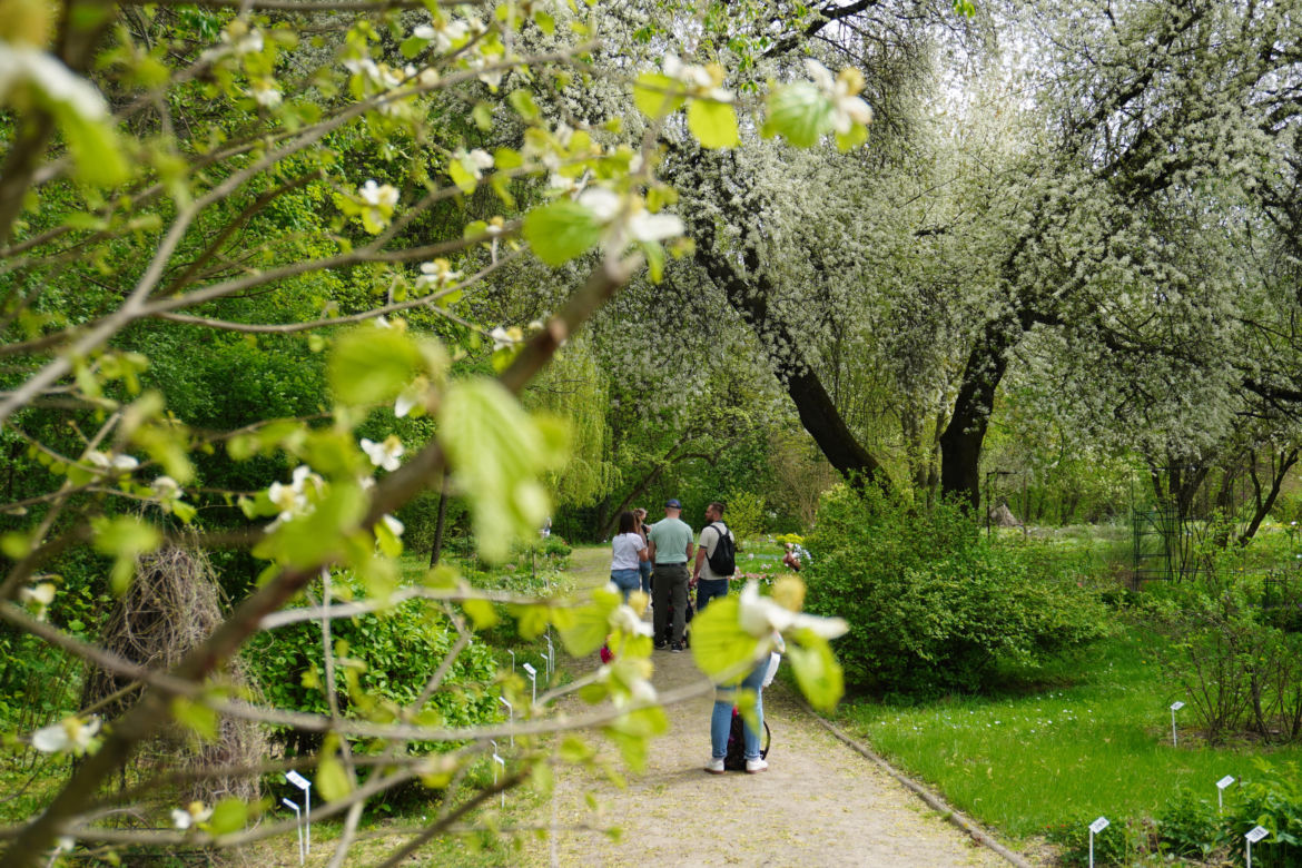 Ogród Botaniczny w Lublinie