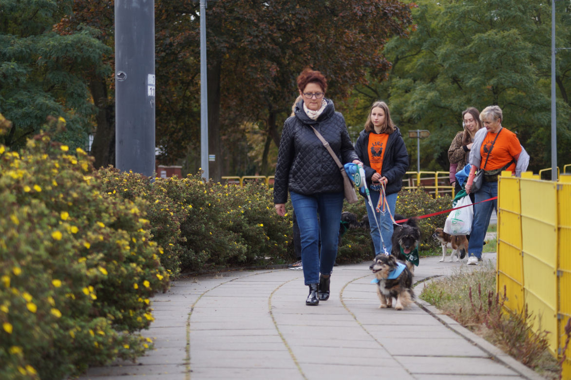 Parada Psów Adoptowanych w Bydgoszczy 2022 [ZDJĘCIA]