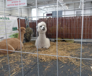 Zoopark Lublin 14.03.26