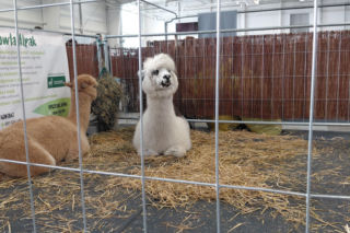 Zoopark Lublin 14.03.26