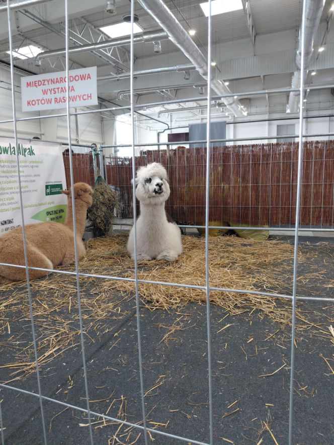 Zoopark Lublin 14.03.26