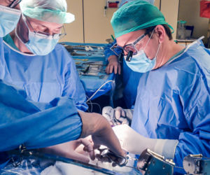 Lekarze WUM usunęli guza z wątroby poza ciałem. Pierwsza taka operacja w Polsce