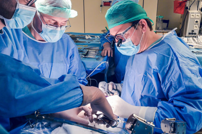 Lekarze WUM usunęli guza z wątroby poza ciałem. Pierwsza taka operacja w Polsce