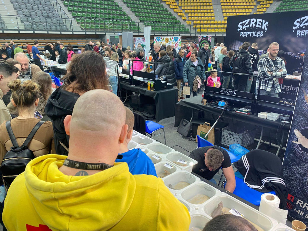 Zooegotyka w Zielonej Górze. Do hali CRS przybyły tłumy