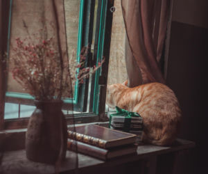 Moi dziadkowie co roku sami przepowiadają, jaka będzie pogoda przez cały rok. Ta ludowa prognoza się nie myli 