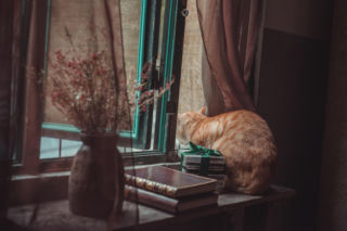 Moi dziadkowie co roku sami przepowiadają, jaka będzie pogoda przez cały rok. Ta ludowa prognoza się nie myli 