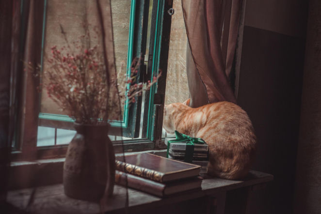 Moi dziadkowie co roku sami przepowiadają, jaka będzie pogoda przez cały rok. Ta ludowa prognoza się nie myli 