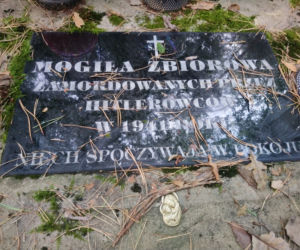 Gmina Sieniawa sprzedała las z historyczną mogiłą [ZDJĘCIA]