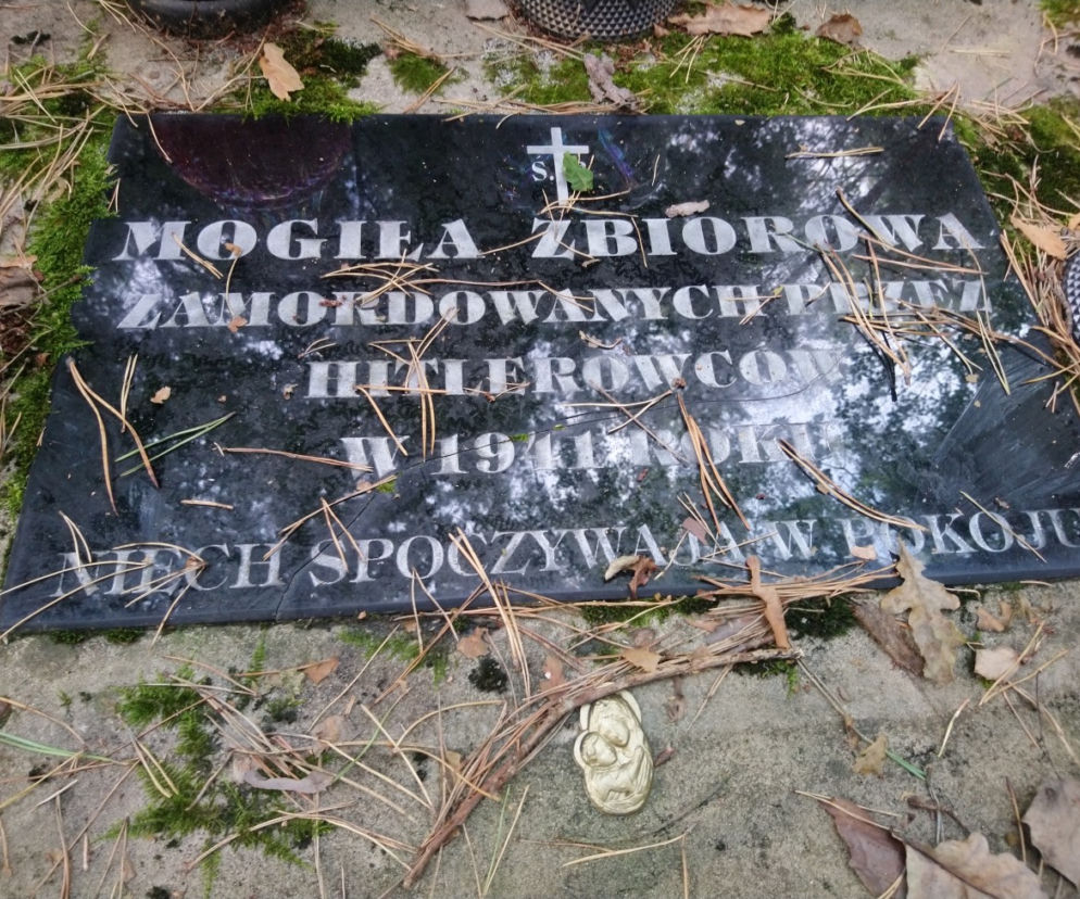 Gmina Sieniawa sprzedała las z historyczną mogiłą [ZDJĘCIA]