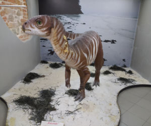 Nowe dioramy w muzeum