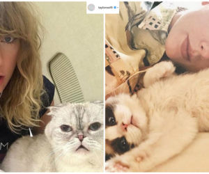 Taylor Swift z kotami