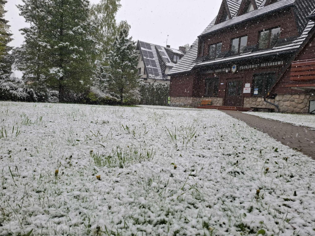 Śnieżyca w Małopolsce. Atak zimy w połowie maja!