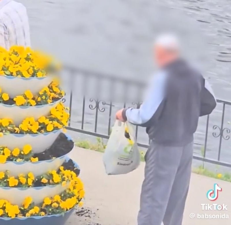 Amatorzy bratków okradli kwietnik w centrum miasta. Ich niecny czyn zarejestrowała kamera