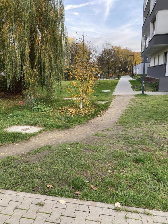 Budowlany absurd w Krakowie. Cztery i pół metra chodnika za 27 tysięcy złotych?