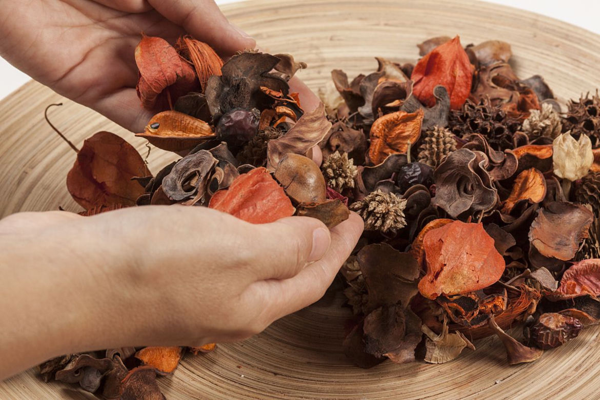 Potpourri