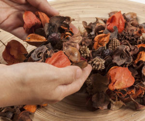 Potpourri 