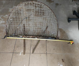 Policja rozbiła grupę złodziei bydła. Pięciu mężczyzn z zarzutami