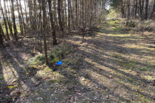 Znana detektyw komentuje sprawę Magdaleny Majtyki. „Nie można zakładać jednego scenariusza”