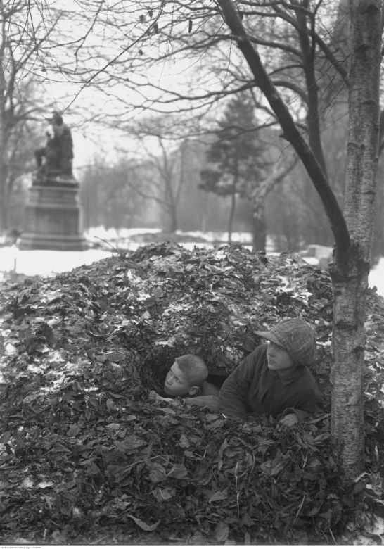 Planty, 1927 rok