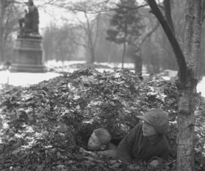 Planty, 1927 rok