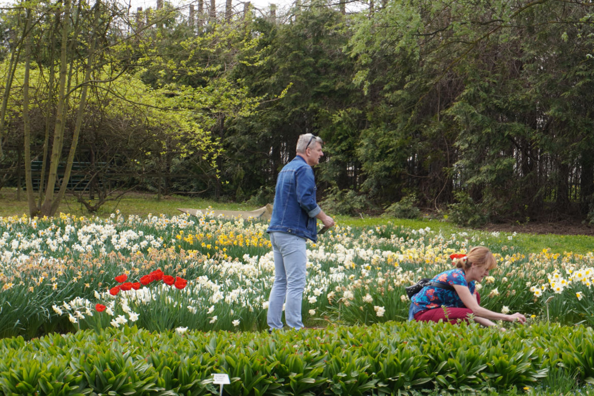 Ogród Botaniczny w Lublinie