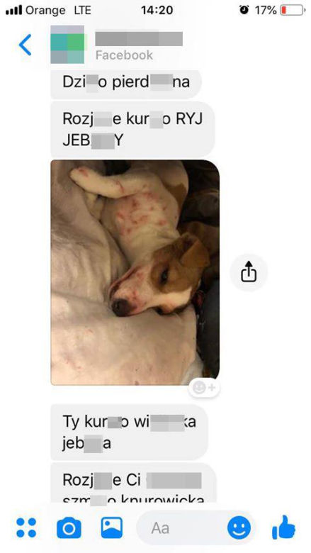 Rzuciła go dziewczyna, więc brutalnie skatował psa. "Patrz kur*o jeb**a szmato, krew tryska na wszystkie strony" [DRASTYCZNE ZDJĘCIA]
