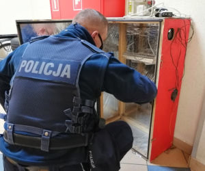 Nastolatek uprawiał trawkę w garażu 