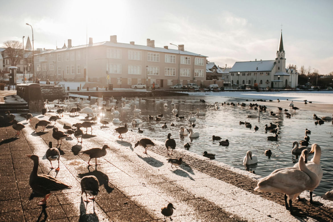 Reykjavik