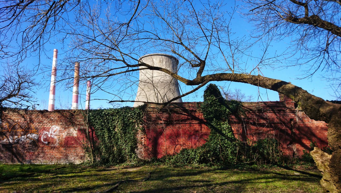 Park im. Tadeusza Rejtana w Łodzi