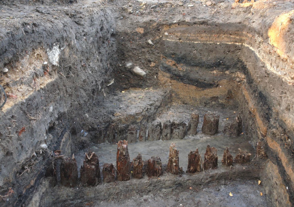 Pozostałości palisad odkrytych podczas badań archeologicznych na Wyspie Zamkowej w Ełku