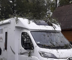 Skutki burzy w Krynkach. Złamany konar zerwał linię energetyczną i uszkodził auto