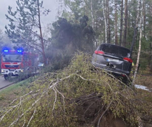 Samochód uderzył w drzewo, a chwilę później stanął w płomieniach. Na szczęście nastolatek zdołał wydostać się z rozbitego auta jeszcze przed przyjazdem służb