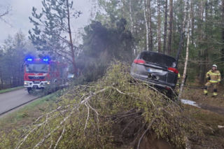 Samochód uderzył w drzewo, a chwilę później stanął w płomieniach. Na szczęście nastolatek zdołał wydostać się z rozbitego auta jeszcze przed przyjazdem służb