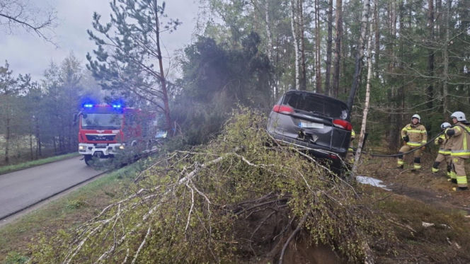 Samochód uderzył w drzewo, a chwilę później stanął w płomieniach. Na szczęście nastolatek zdołał wydostać się z rozbitego auta jeszcze przed przyjazdem służb