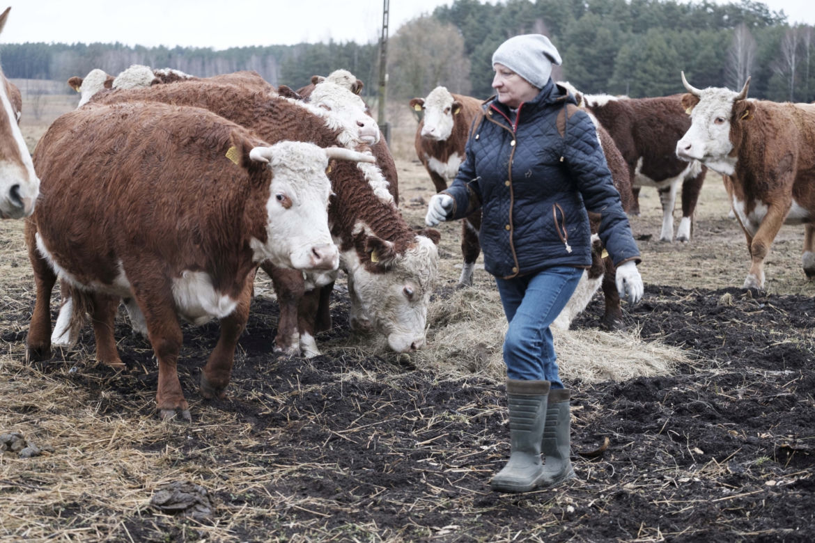 Rolnicy. Podlasie. Emilia Korolczuk i jej Ranczo Laszki
