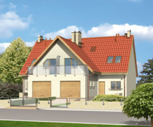 Projekt bliźniaka W symbiozie