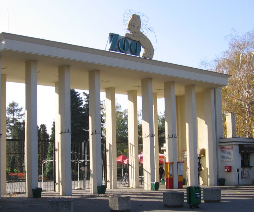 Gdyby ktoś mieszkał koło zoo miałby zapewniony bardzo skuteczny budzik